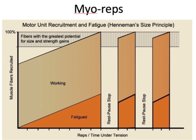Myo-reps som træningsteknik