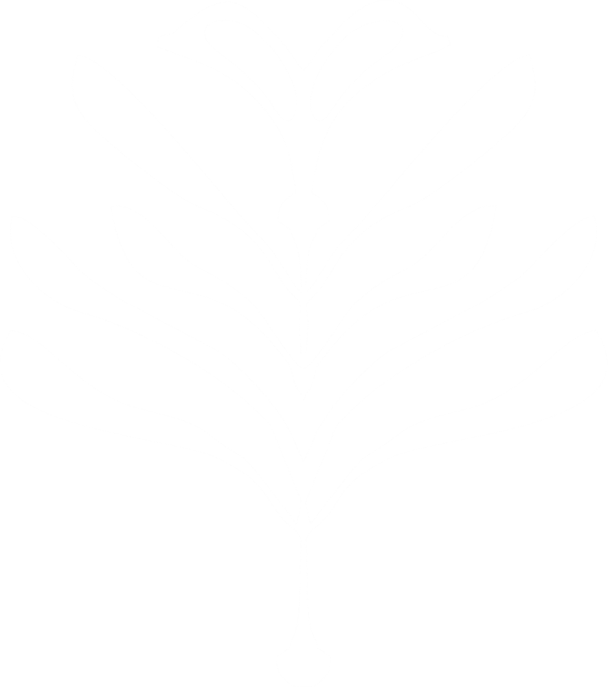 Footer Logo