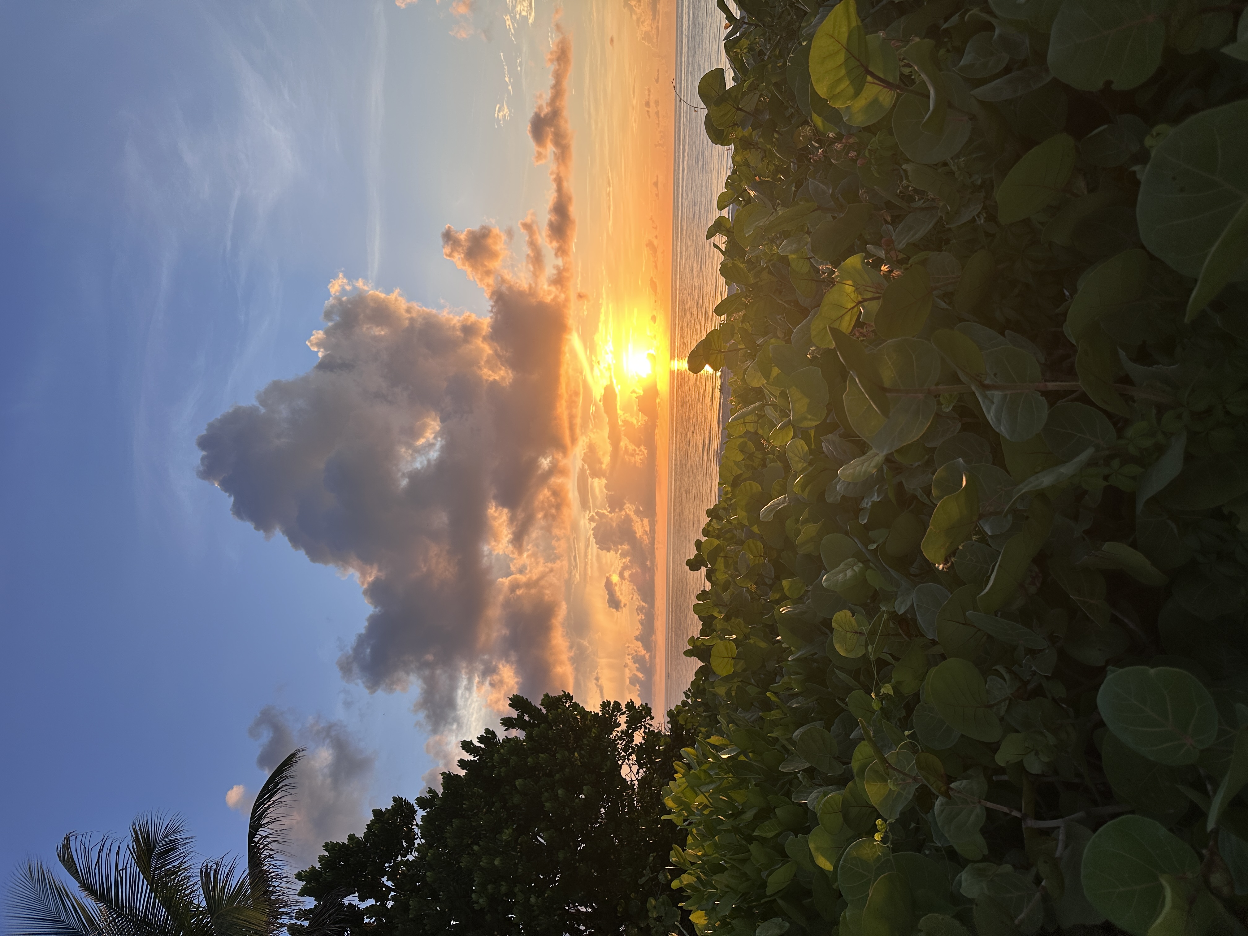 Sunrise walk in Florida