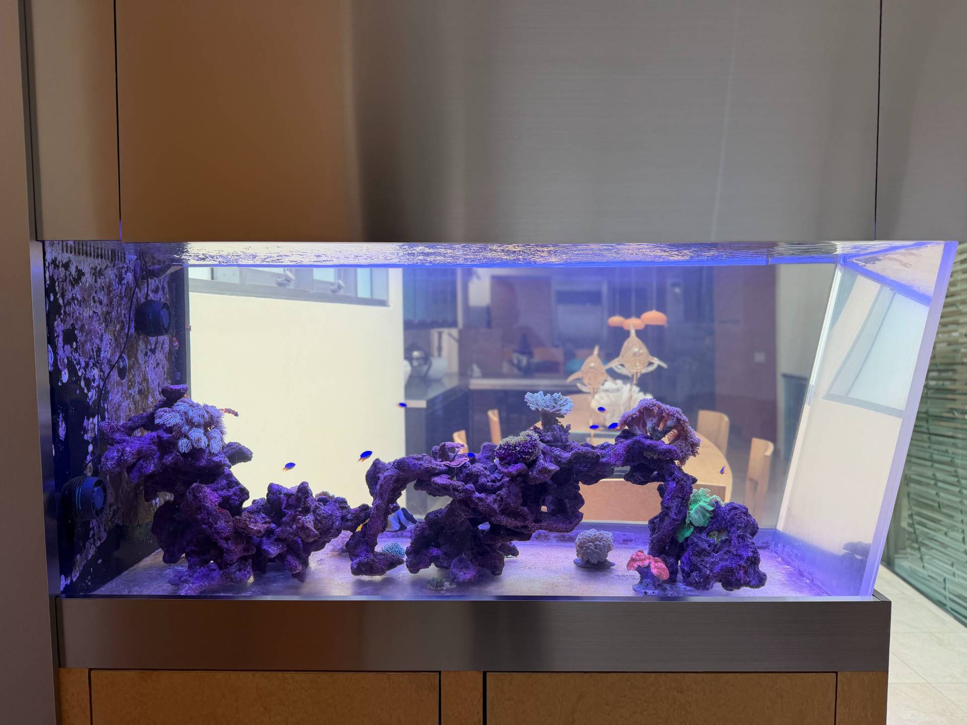 Built-in aquarium with rock arches and marine fish