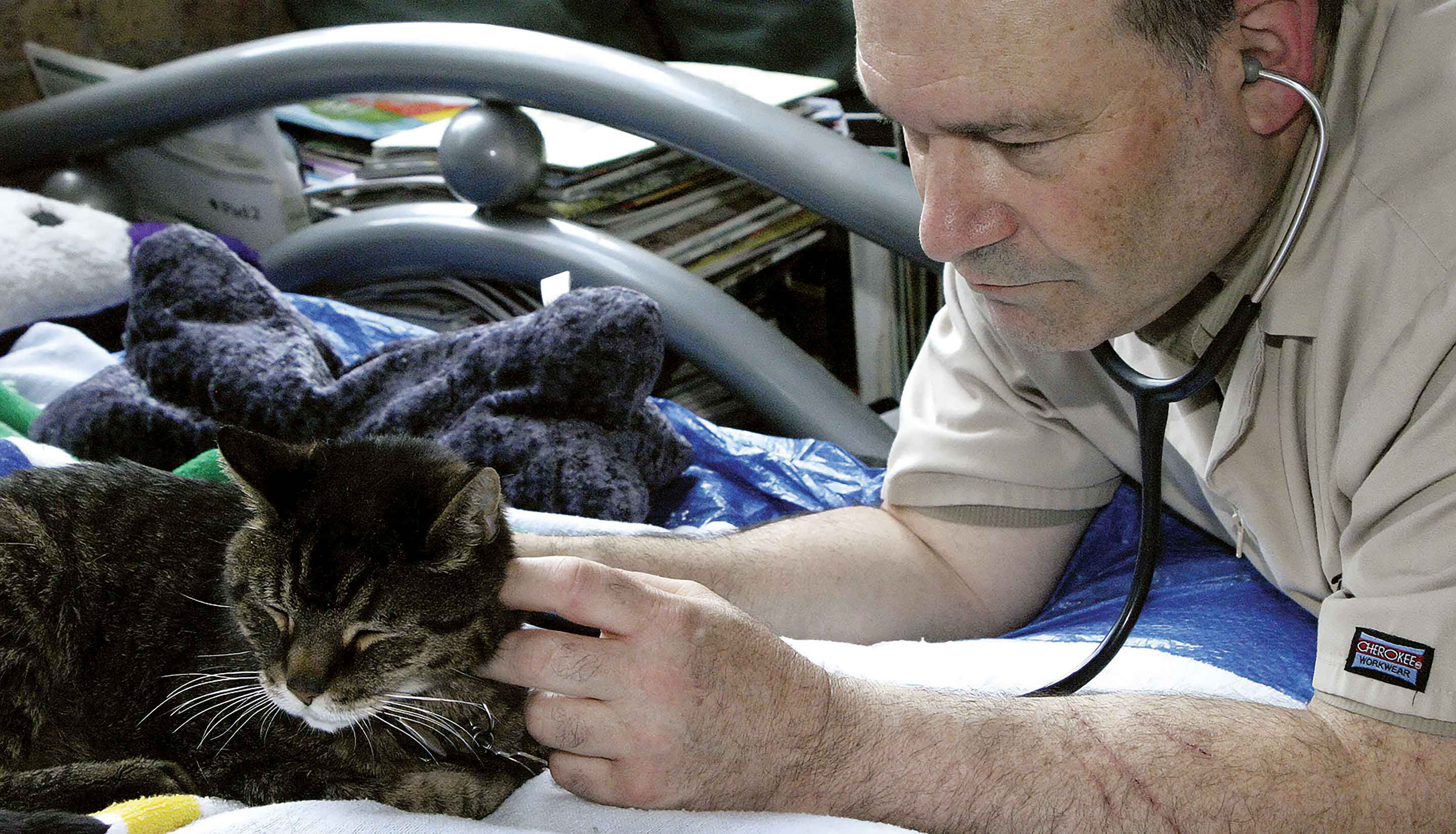 AHELP Project - Dr. Amir Shanan, during an at-home pet hospice veterinary visit in Chicago, Illinois