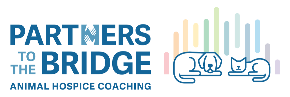 Copyright © Partners to the Bridge - AHELP Project Logo