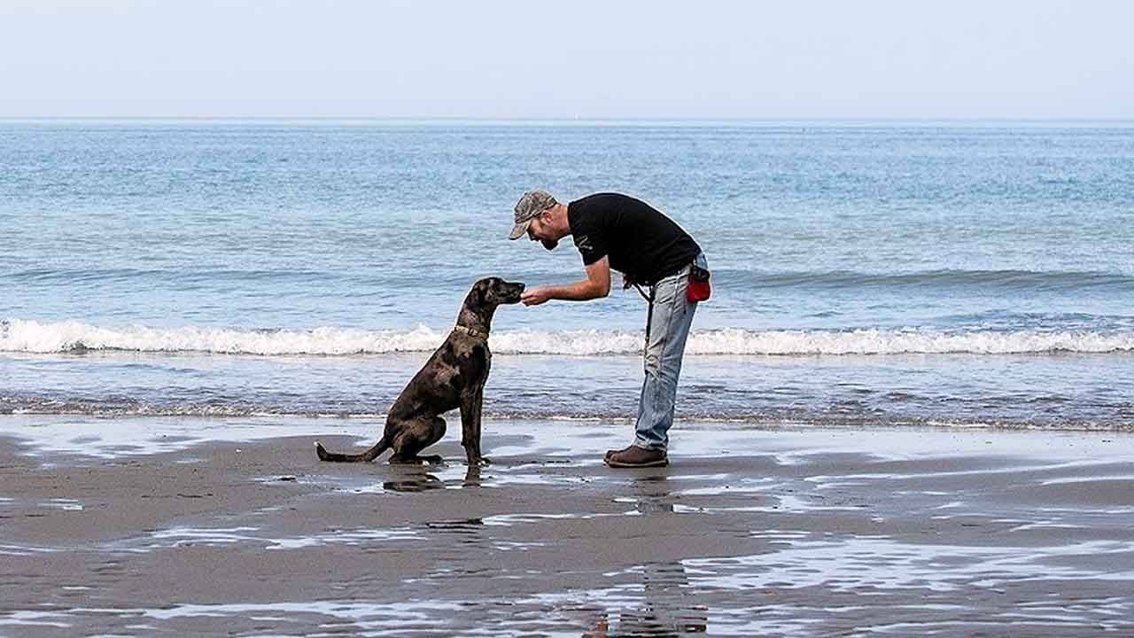 AHELP Case Studies | AHELP Project