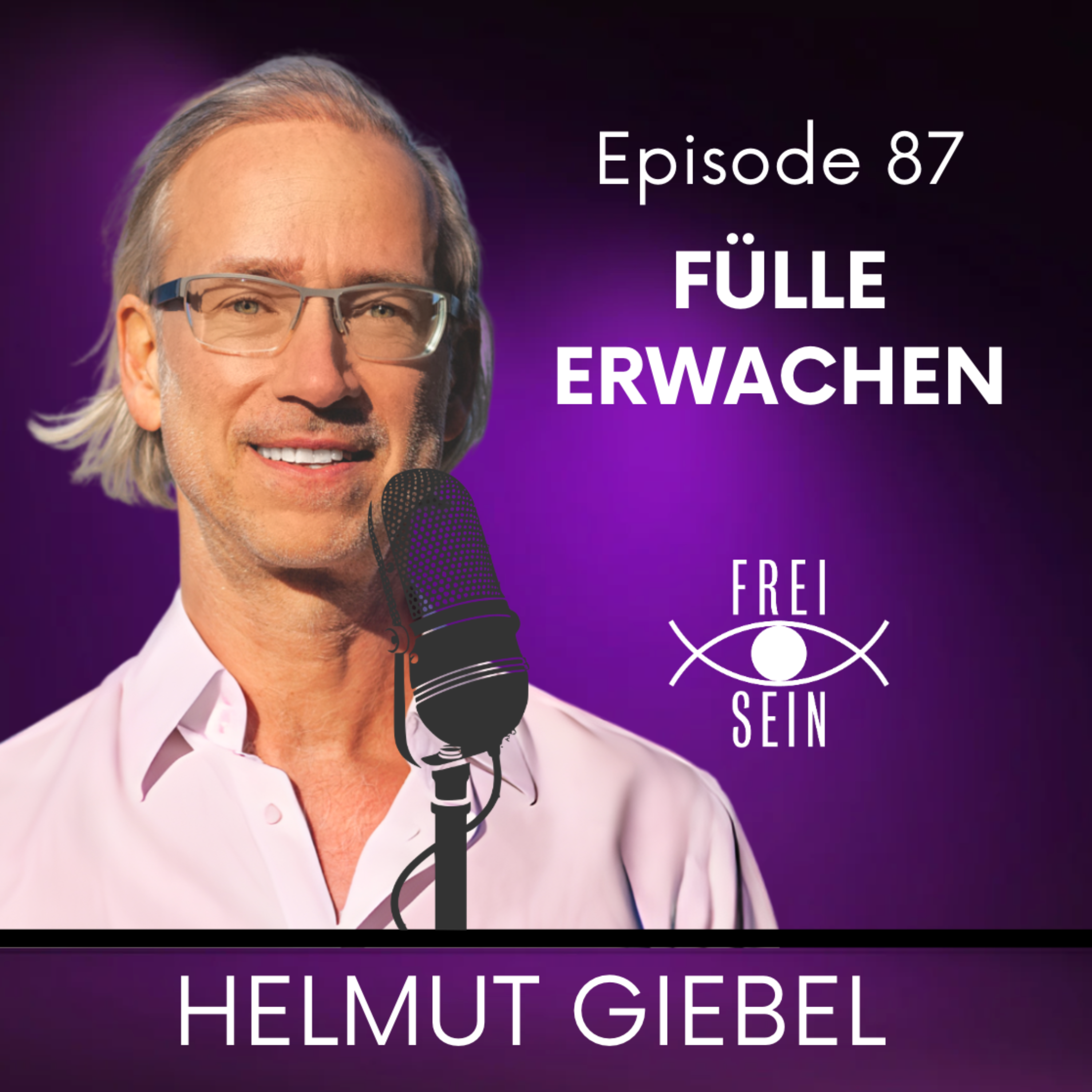 Artwork for Die Freiheits-Formel