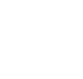 Leadwell & Succeed Logo