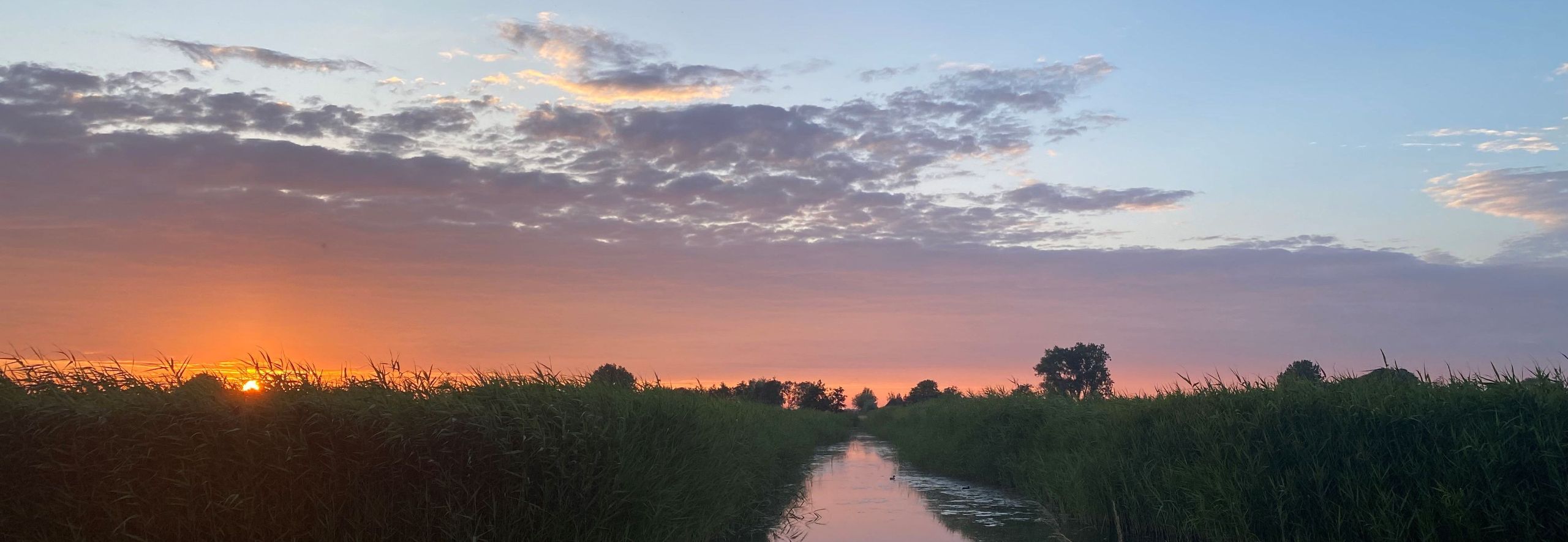 Home_Fire_stip_op_de_horizon