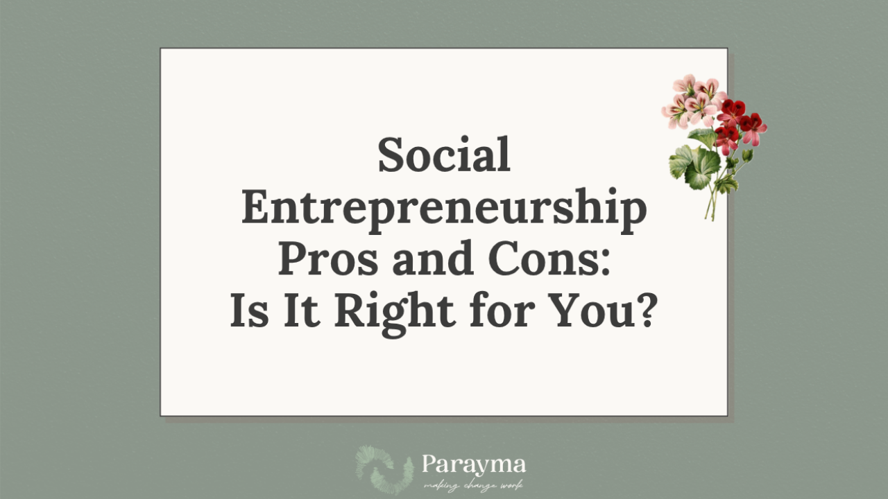 social entrepreneurship pros and cons