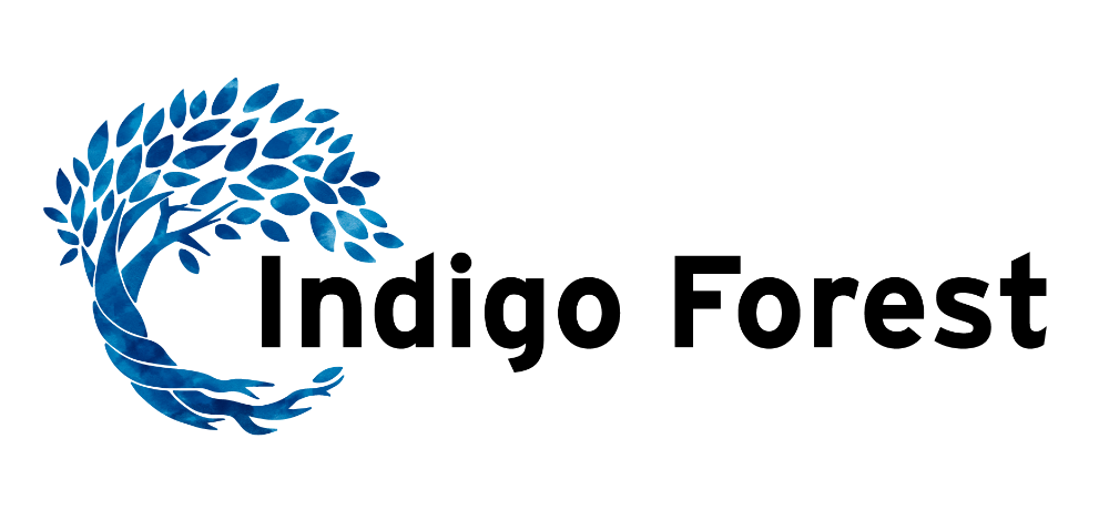 Footer Logo