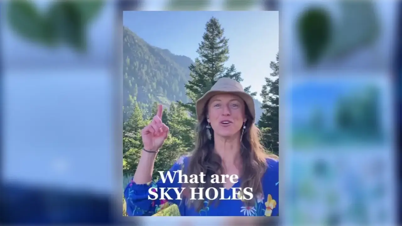 Artist Juliene points toward a mountain landscape with evergreen trees and blue sky, introducing sky holes in watercolor tree painting.