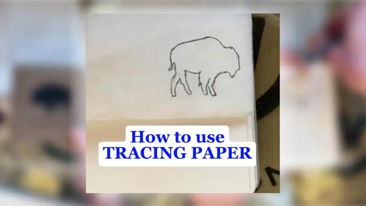 A pencil outline of a bison on tracing paper in a sketchbook, demonstrating how to use tracing paper to transfer an image onto watercolor paper, by artist Juliene.