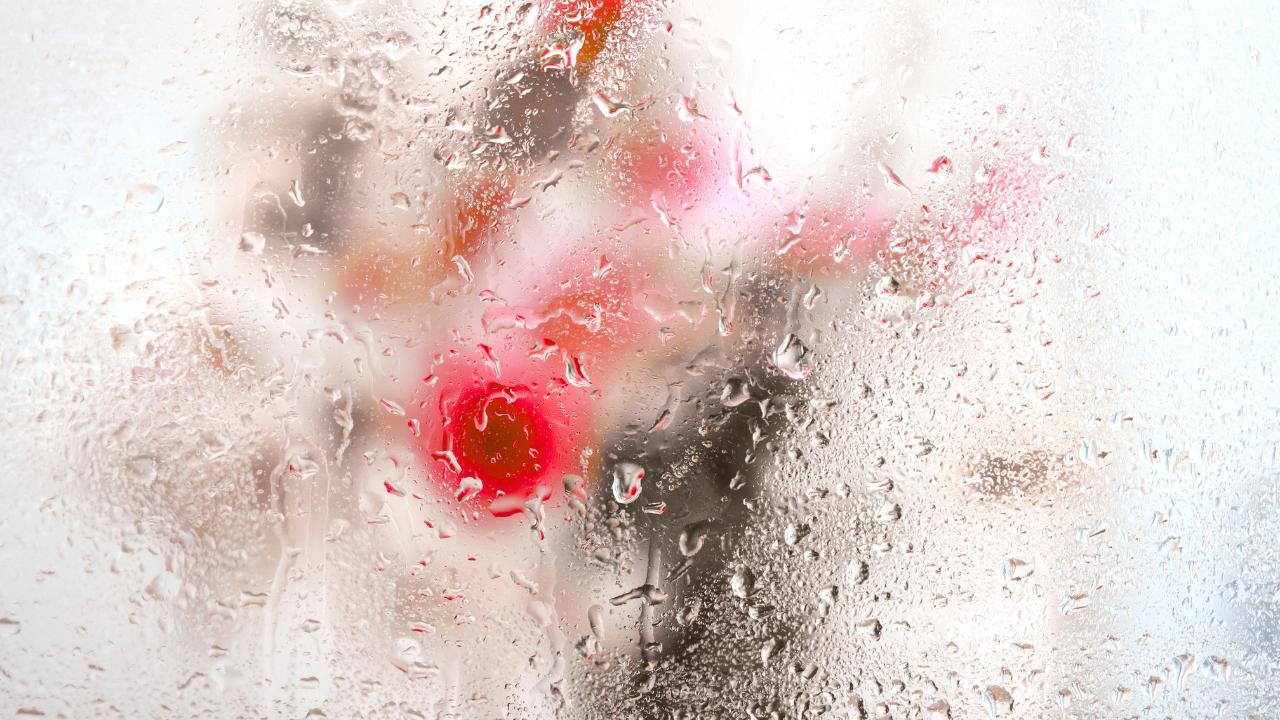 rain droplets and blurred flowers behind a window