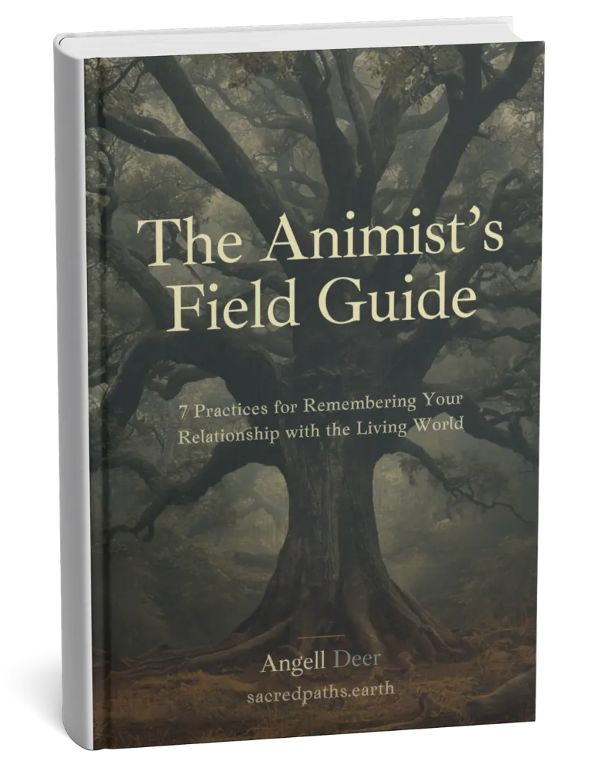 Cover of The Animist's Field Guide by Angell Deer, showing an ancient oak tree in mist