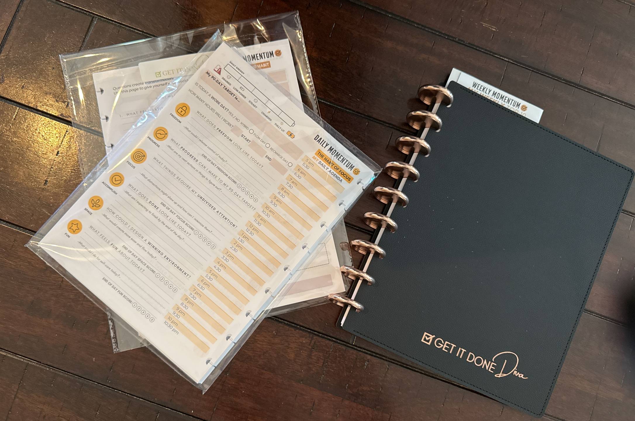 Monthly calendar and 90-day progress tracking pages