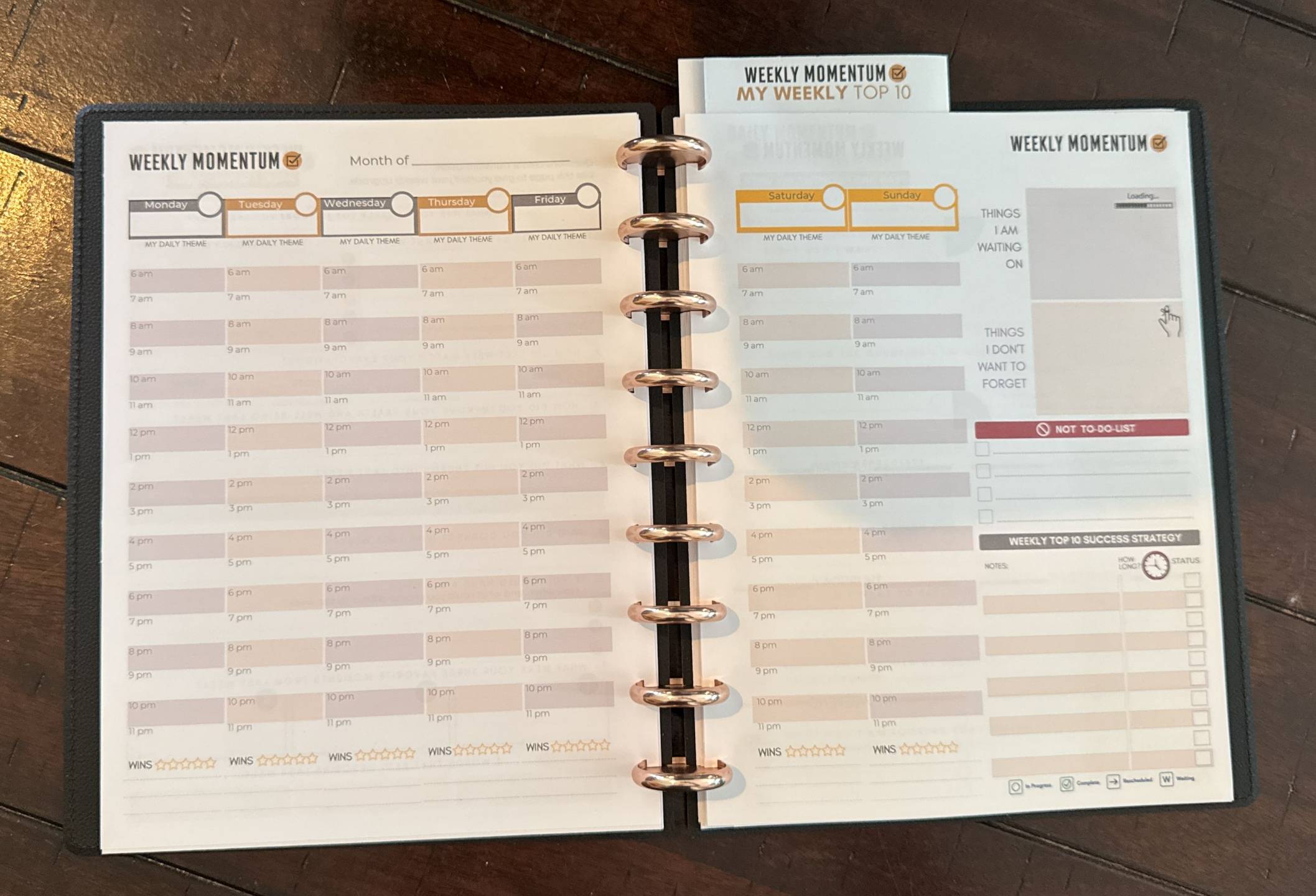 Closed planner showing the black vegan-leather cover and rose-gold discs