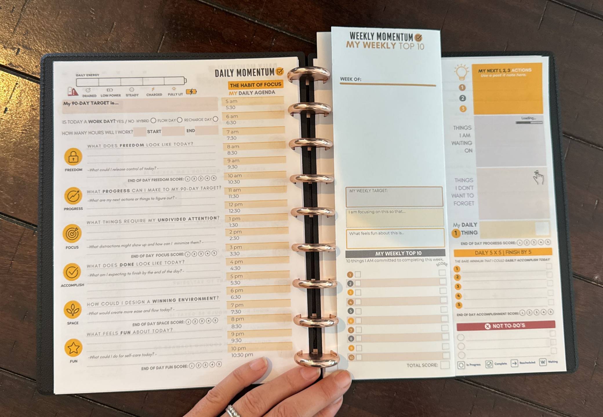 Monthly calendar and 90-day progress tracking pages