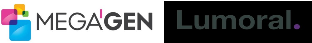 Footer Logo