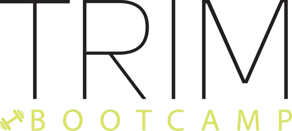Header Logo