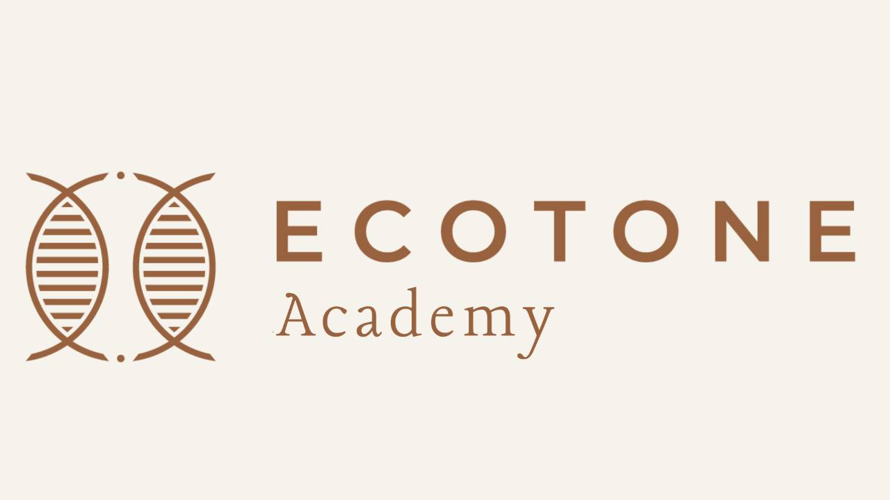 Header Logo