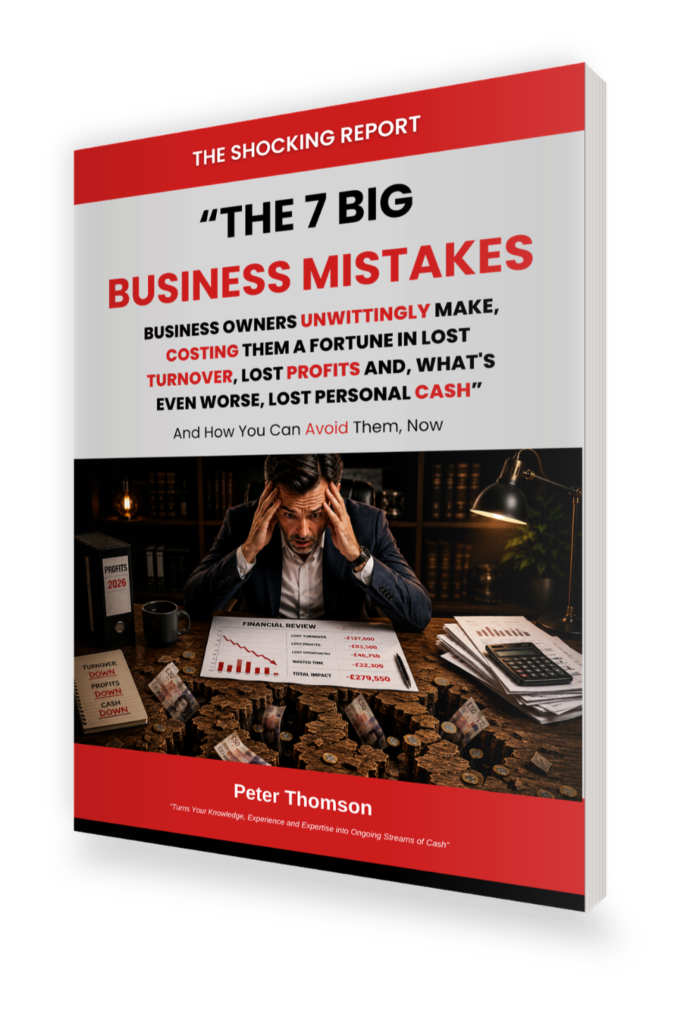 The 7 Big Business Mistakes free report