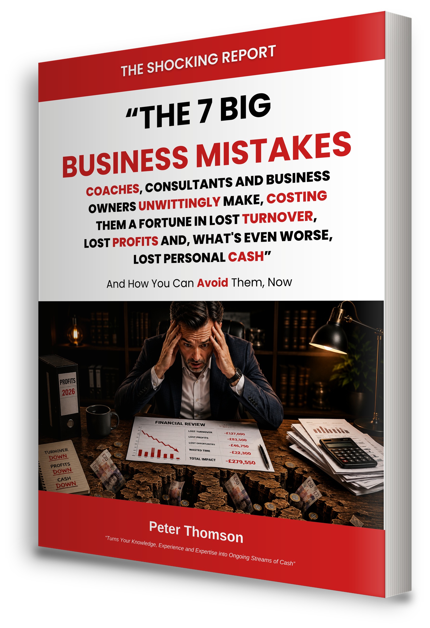 The 7 Big Business Mistakes free report