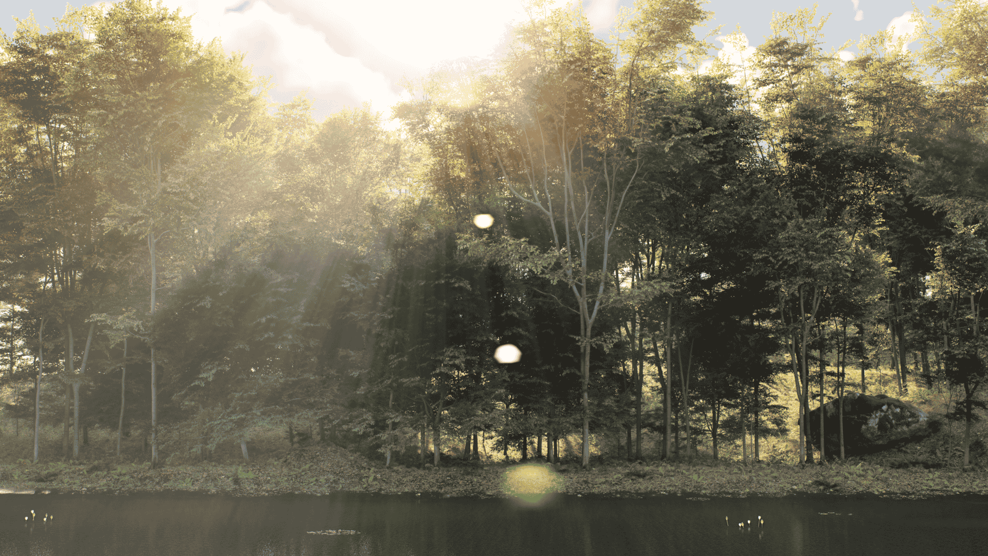 3D College online Unreal Engine 5 training and courses for 3D artists