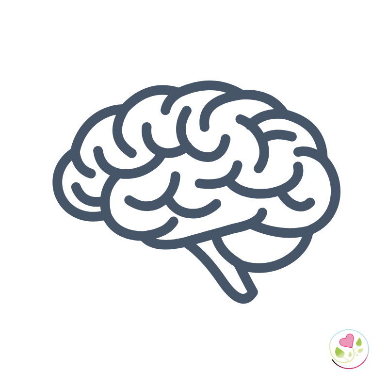 Base Brain