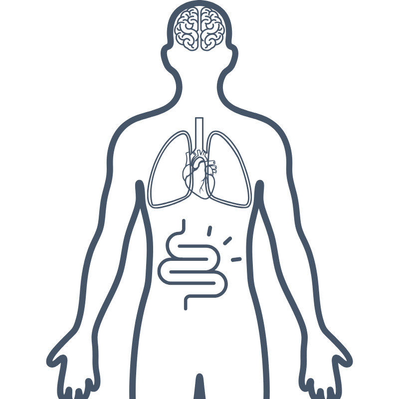Base Torso Map