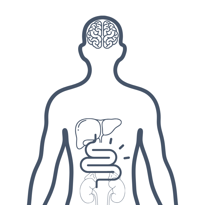 Base Torso Map