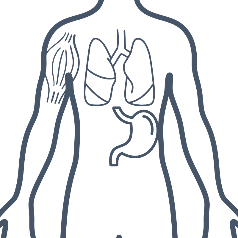 Base Torso Map