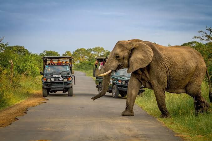 Hluhluwe Big 5 Safari Integration