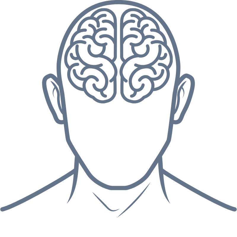 Base Brain