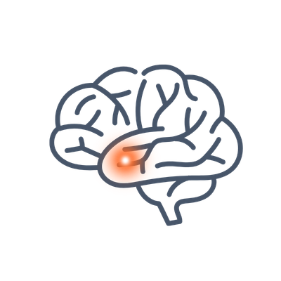 Pituitary Gland