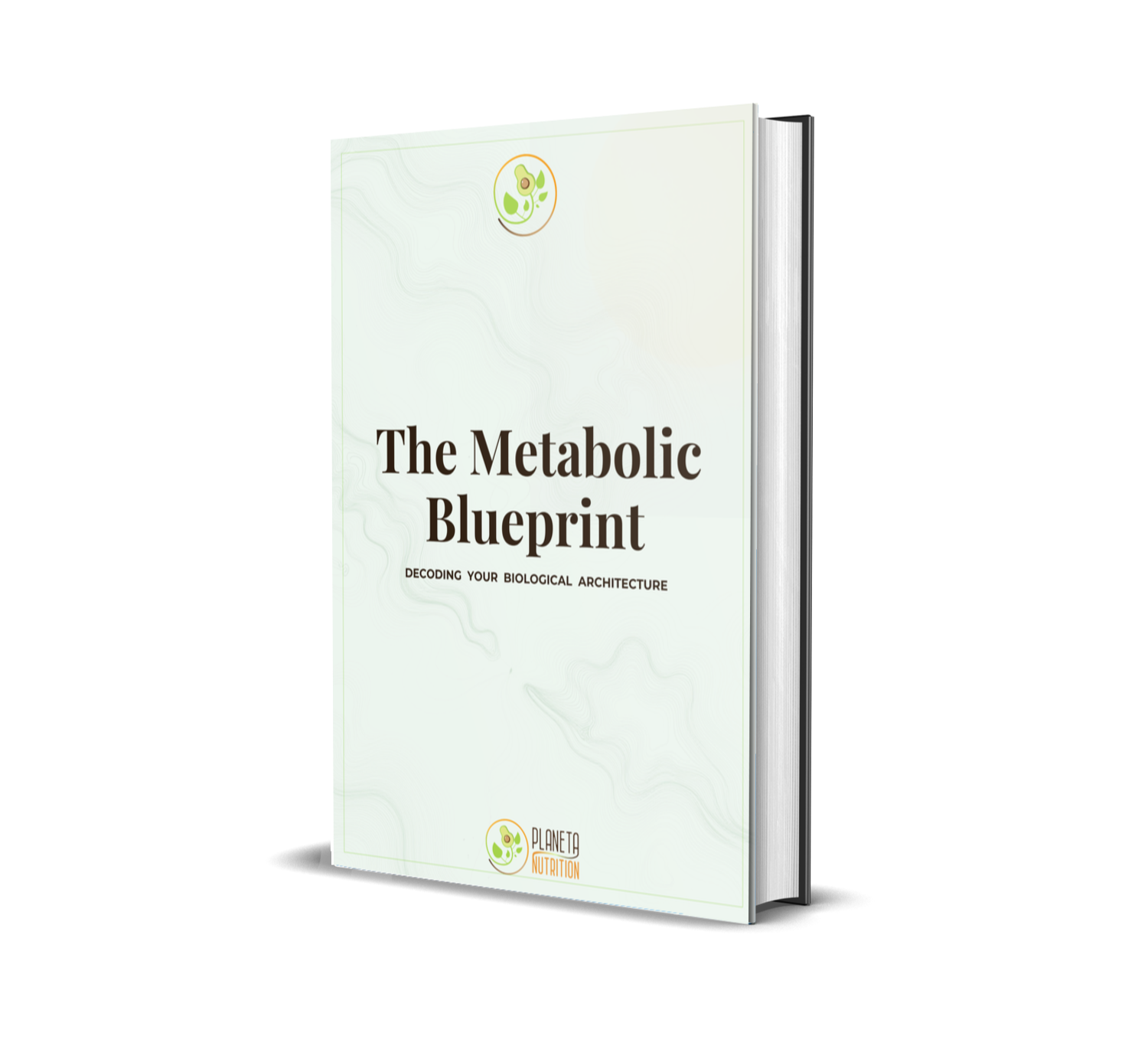 The Metabolic Blueprint