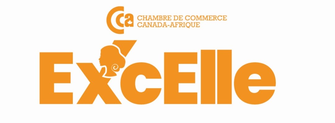 ExcElle Programme Image