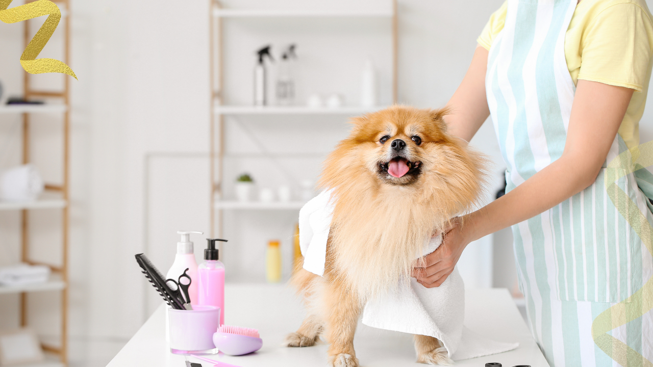 dog groomers support your dog's hygiene, make them more comfortable, care for your dog's coat, and provide routine maintenance.
