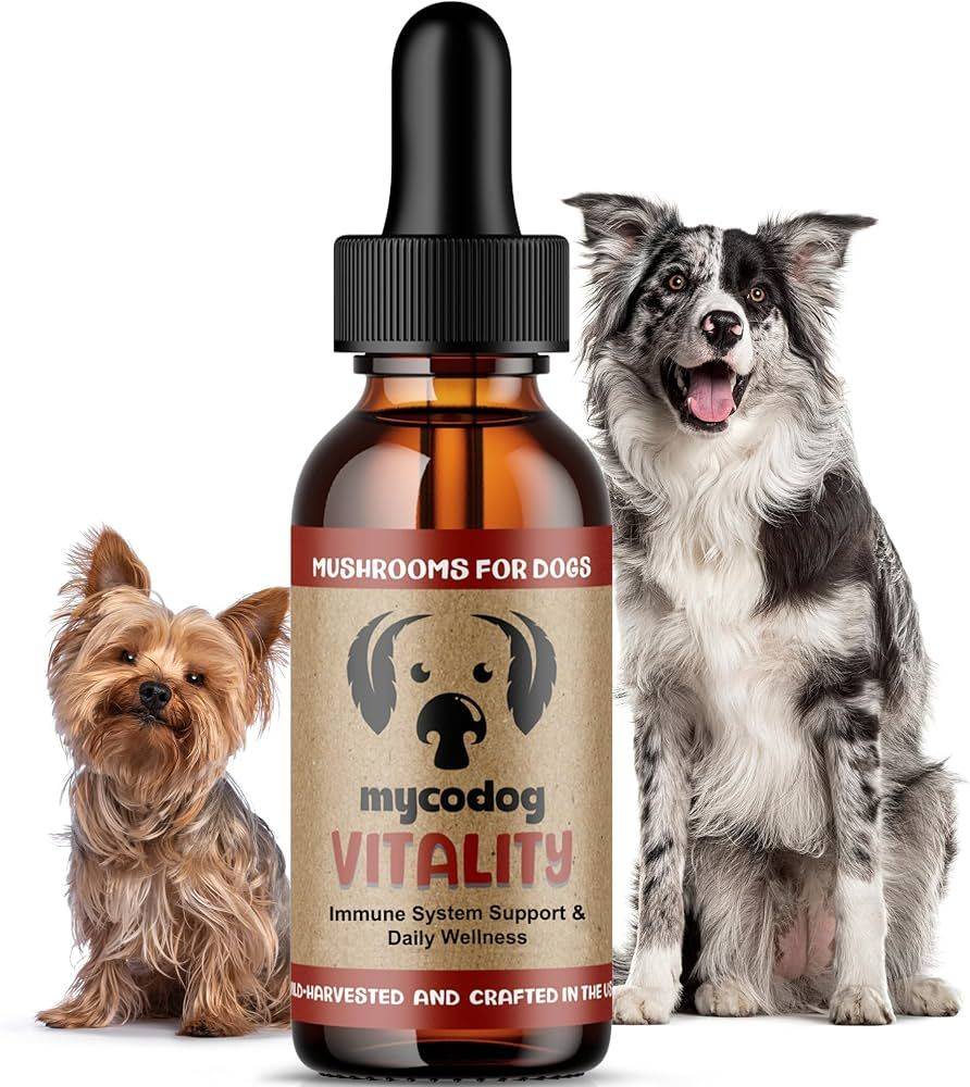 CBD Dog Health Vitality is a blend of Turkey Tail, Reishi, and Maitake mushrooms that support and promote healthy immune function