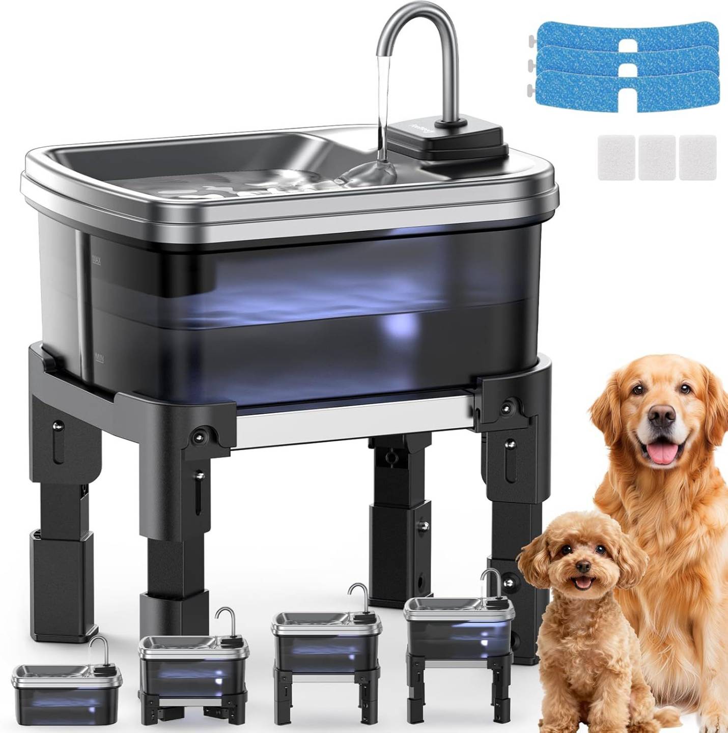Elevated water fountain for dogs with cancer