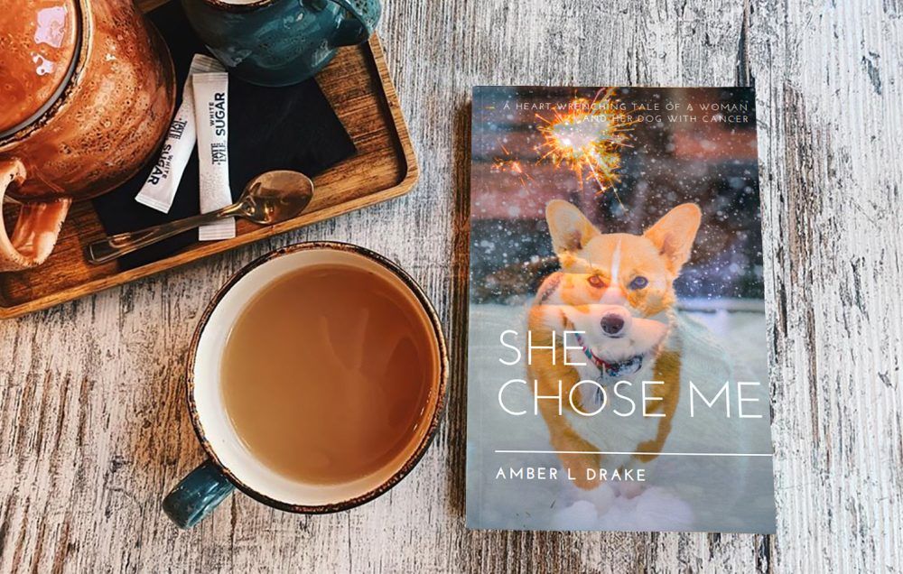 she chose me by amber l Drake available at Barnes and Noble