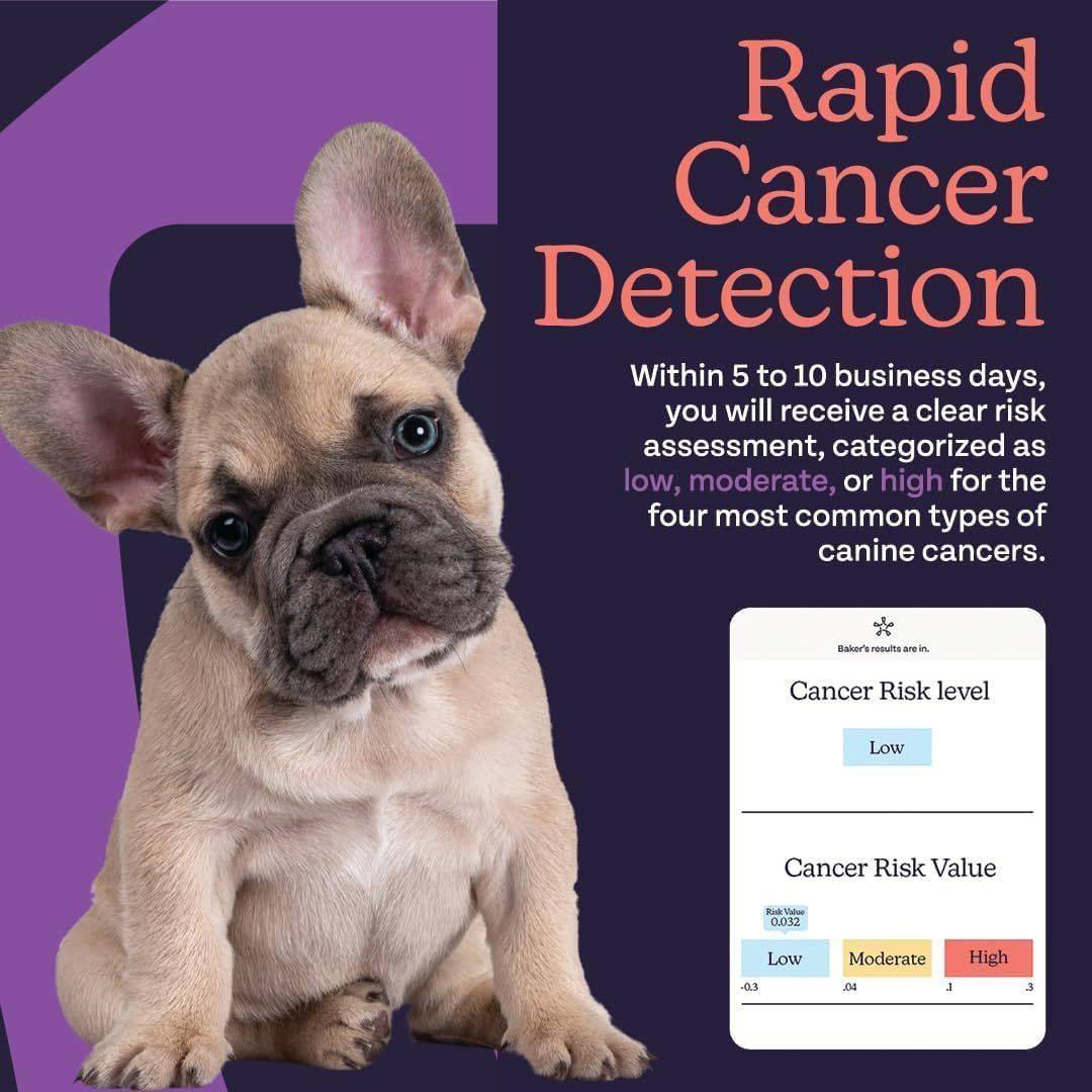 oncotect offers rapid cancer detection for dogs