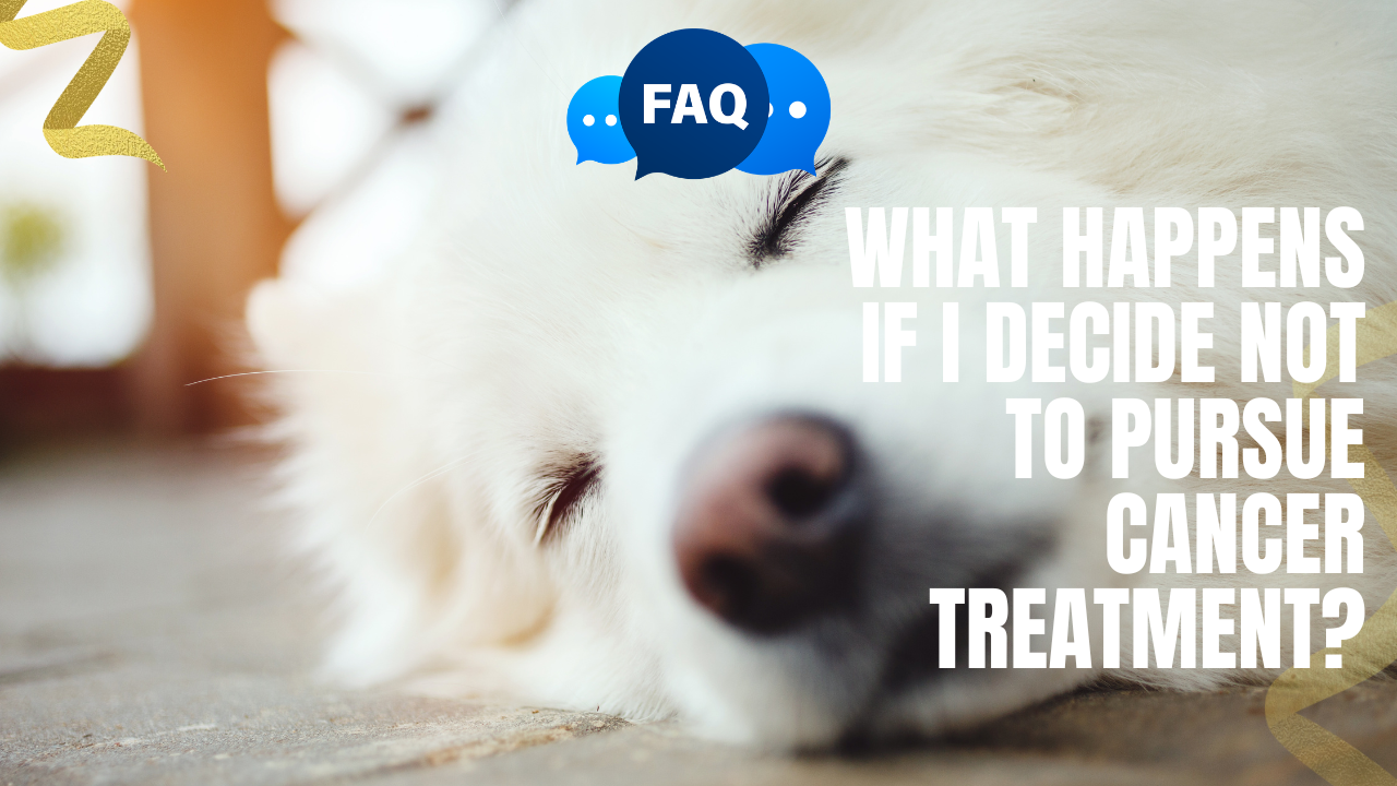 What Happens If I Decide Not To Pursue Cancer Treatment?