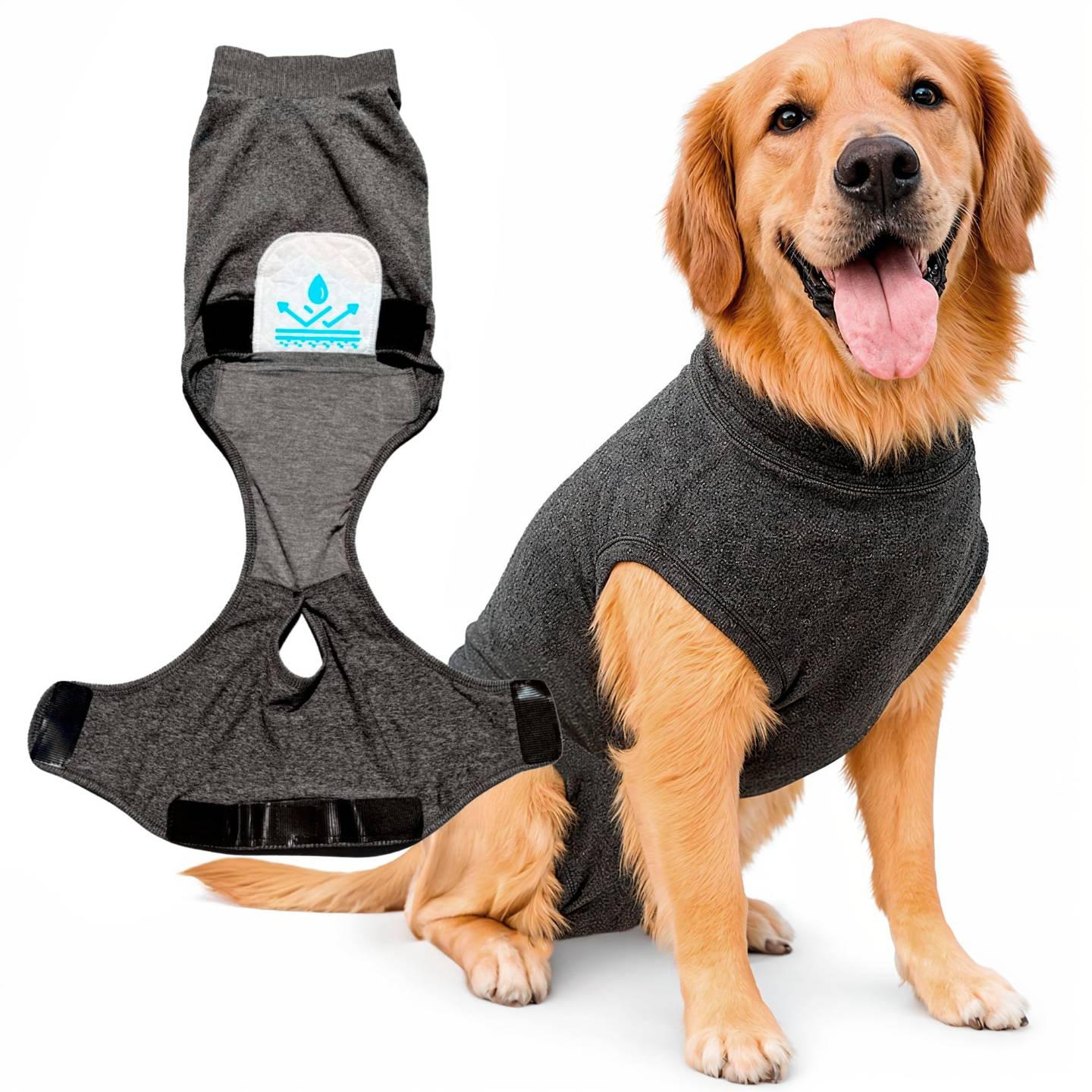 dog recovery suit to help with recovery post-surgery for medium sized dog breeds