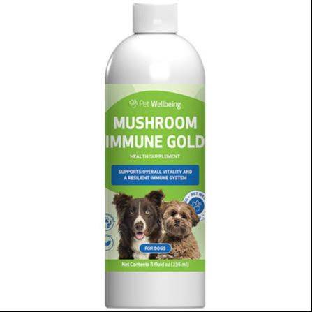 mushroom immune gold is the primary recommendation for dogs with cancer
