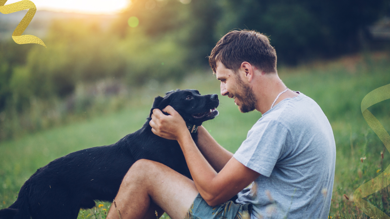 liquid biopsy for dogs and other ways to screen for cancer in dogs