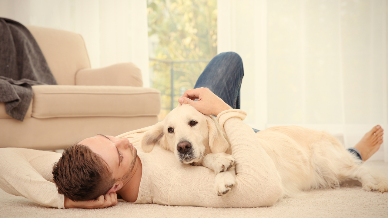 self care is important when your dog has cancer