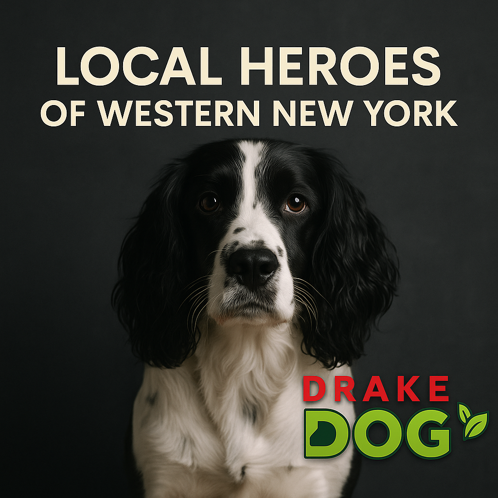 Local Dog organizations in western new york with Drake Dog Cancer Foundation founded by Amber L Drake