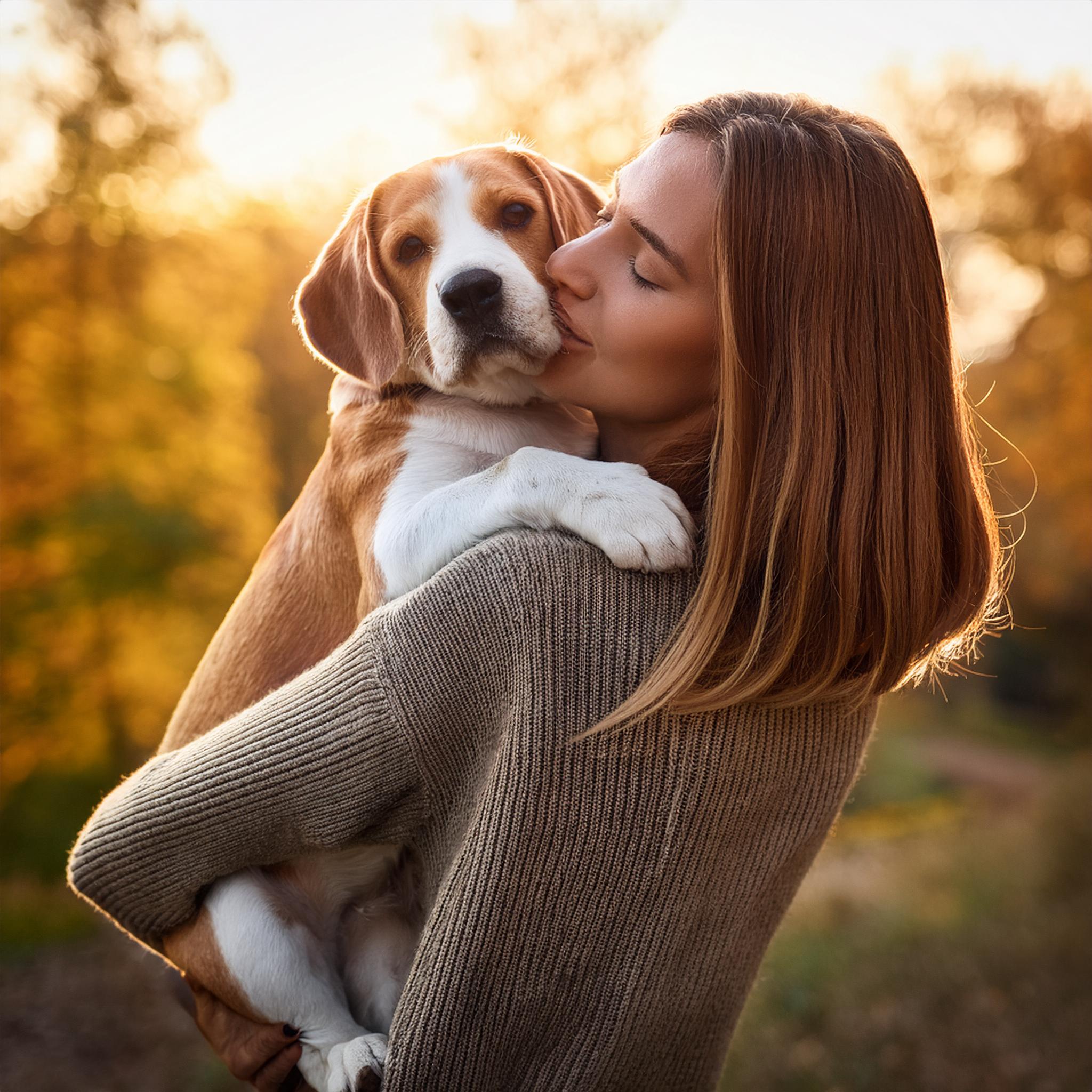 Become a pet grief counselor online certificate 