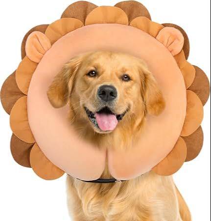 comfy cone for dogs after surgery from amazon