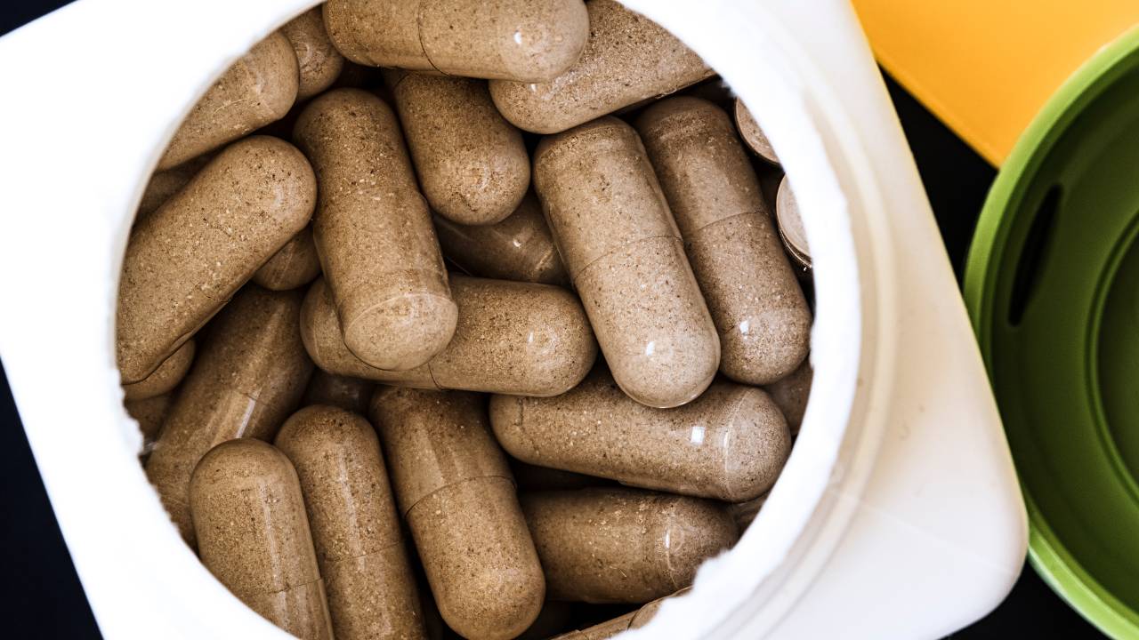 Slippery Elm for Dogs A Natural Remedy for Digestive and Skin Health