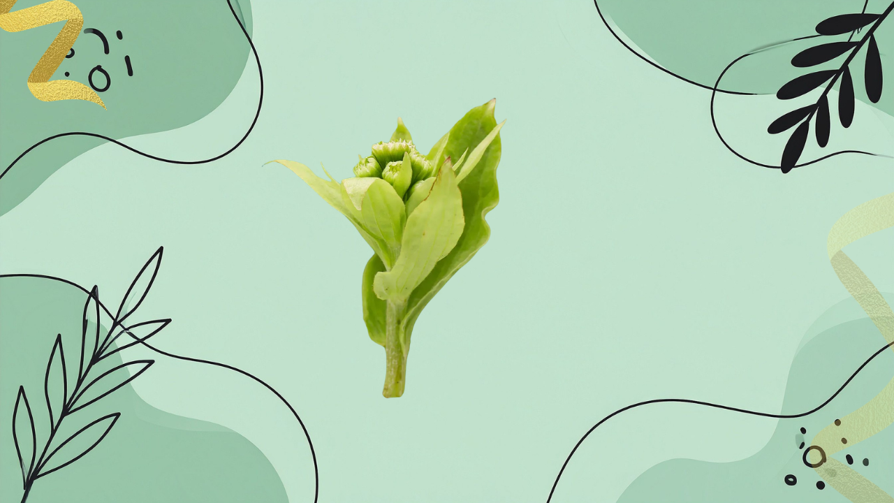 The headline result: butterbur shoot extract significantly extended overall survival, and did not prolong progression-free survival