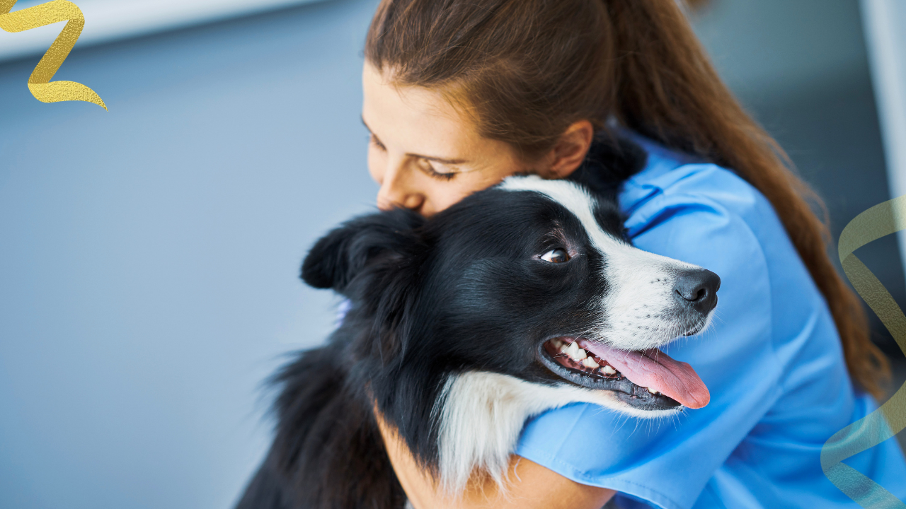 being a veterinarian requires extensive education, followed by appropriate licensure
